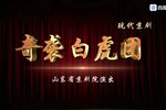 奇袭白虎团 1972年下载