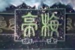 梅亭雪 见故人悲喜交并