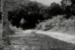 钗头凤 电影版