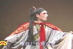 真假杨六婿