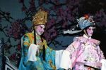 孟丽君 陈楚蕙版