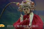 狄青平南 第五场下载