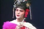 梅花簪 被耽误的相府小姐cut下载