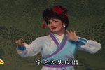 红狮缘 第四场下载