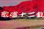 歌唱十二钗