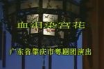 血泪染宫花下载