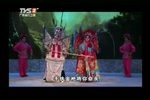 情铸寒江关下载