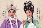 狸猫换太子 2018
