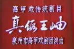 真假王岫下载