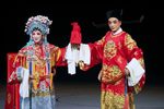 苏秦下载