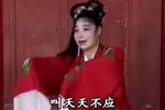 赣南采茶戏-罗帕记 02
