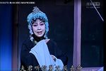 状元与乞丐 2002年下载