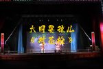 对花枪 片段