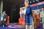 芦花 2023年5月