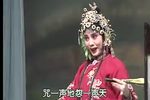 相府梦 全本