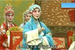 算粮