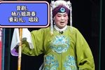 杨八姐游春