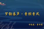打金枝 全本