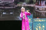 相府梦