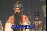 狸猫换太子 全本