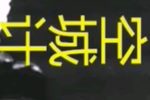空城计 片段下载