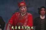 金麟麟 全本