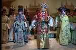 狸猫换太子 全部下载