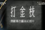打金枝 资料片断