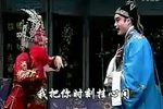 游西湖 自花园赠梅两相恋
