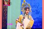 打金枝 选段