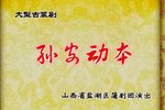 孙安动本