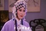 烟花泪