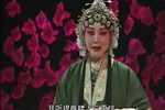 探妻