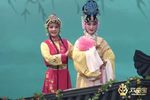 站花墙·摘花站墙 选场下载