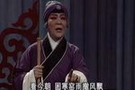 瞎婆摸包下载