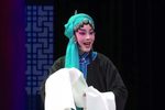秦香莲 见皇姑 选段