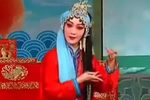 三堂会审 草台一枝花