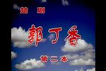 郭丁香 第二本下载