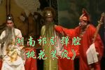 桃花装疯下载