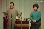 玉蜻蜓·双喜临门