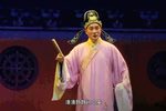 双珠凤 DVD完整版下载