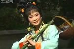 摘石榴下载