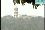双玉蝉下载