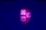 孟丽君 新版