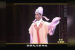 玉蜻蜓