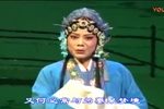 玉蜻蜓