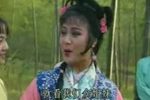 龙子与泉姑下载