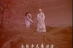 双珠凤 1963年