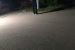 珍珠塔 前见姑
