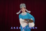 梁祝-山伯访友 扬剧金派名段展播